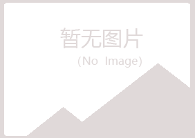 日照岚山易烟能源有限公司